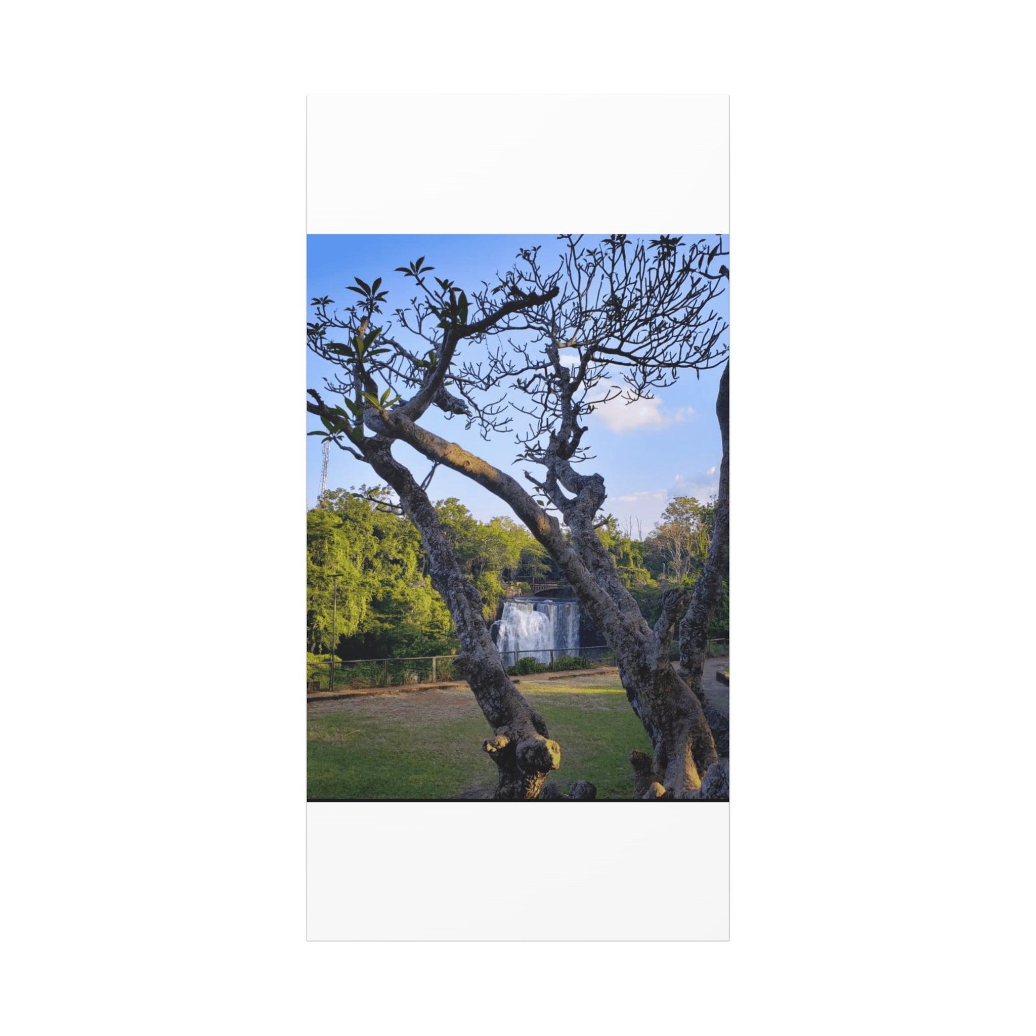 Waterfall Landscape Matte Canvas Print — Stretched 1.25"