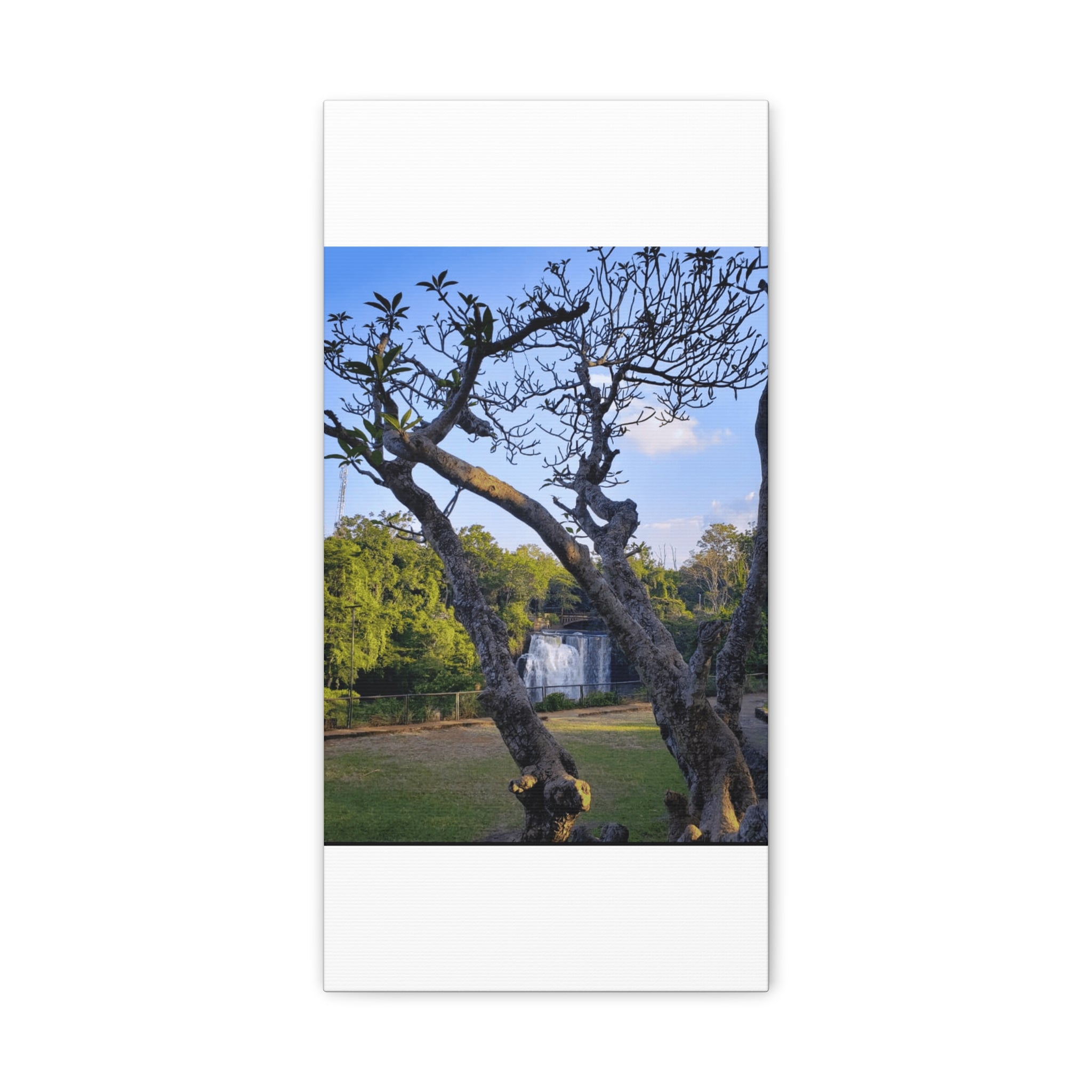 Waterfall Landscape Matte Canvas Print — Stretched 1.25"