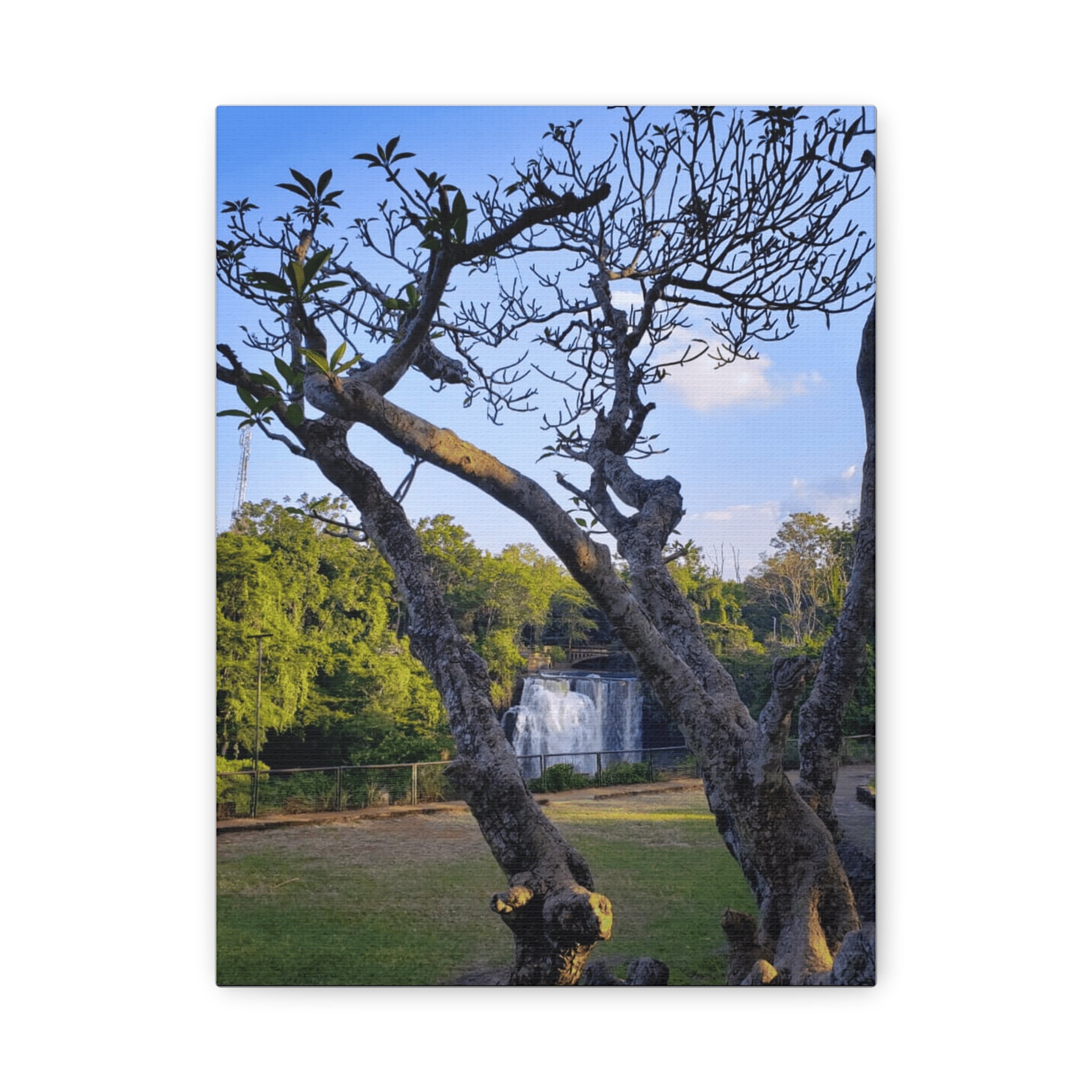 Waterfall Landscape Matte Canvas Print — Stretched 1.25"