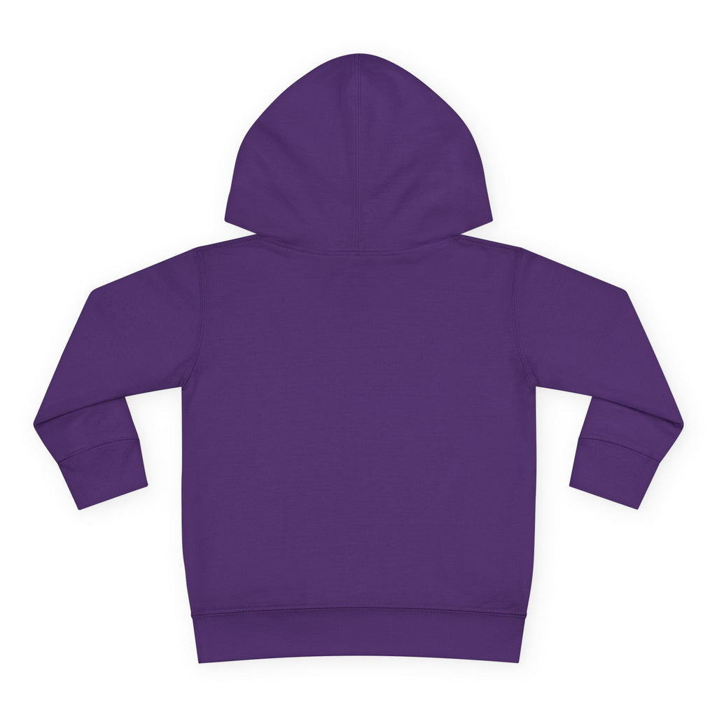 Toddler Snowflake Hoodie – Blue Winter Pullover for Kids