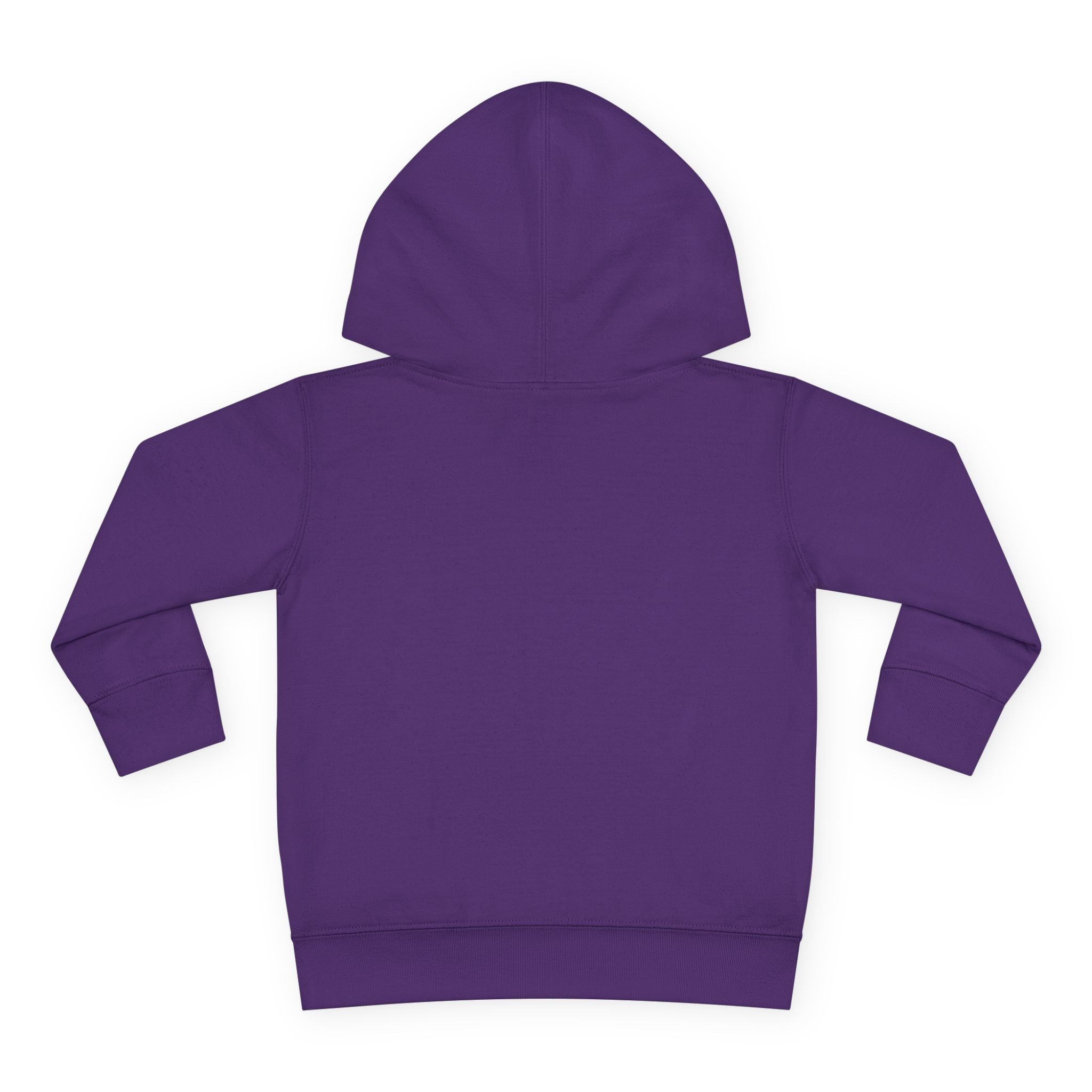 Toddler Snowflake Hoodie – Blue Winter Pullover for Kids