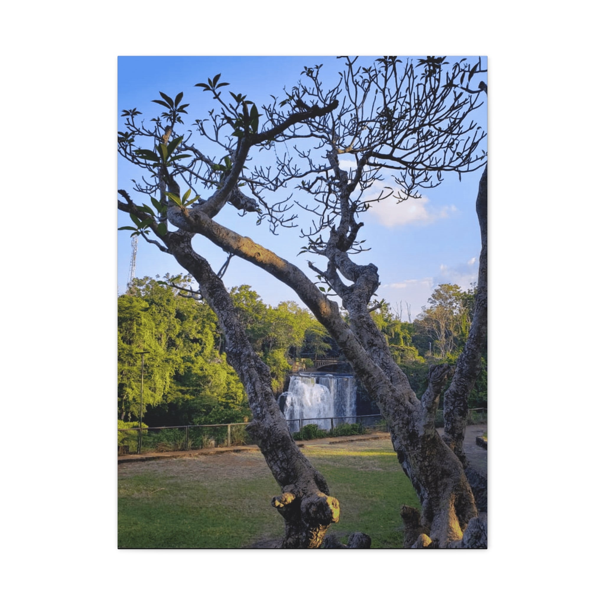 Waterfall Landscape Matte Canvas Print — Stretched 1.25"