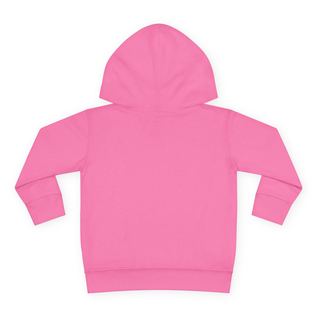 Toddler Snowflake Hoodie – Blue Winter Pullover for Kids