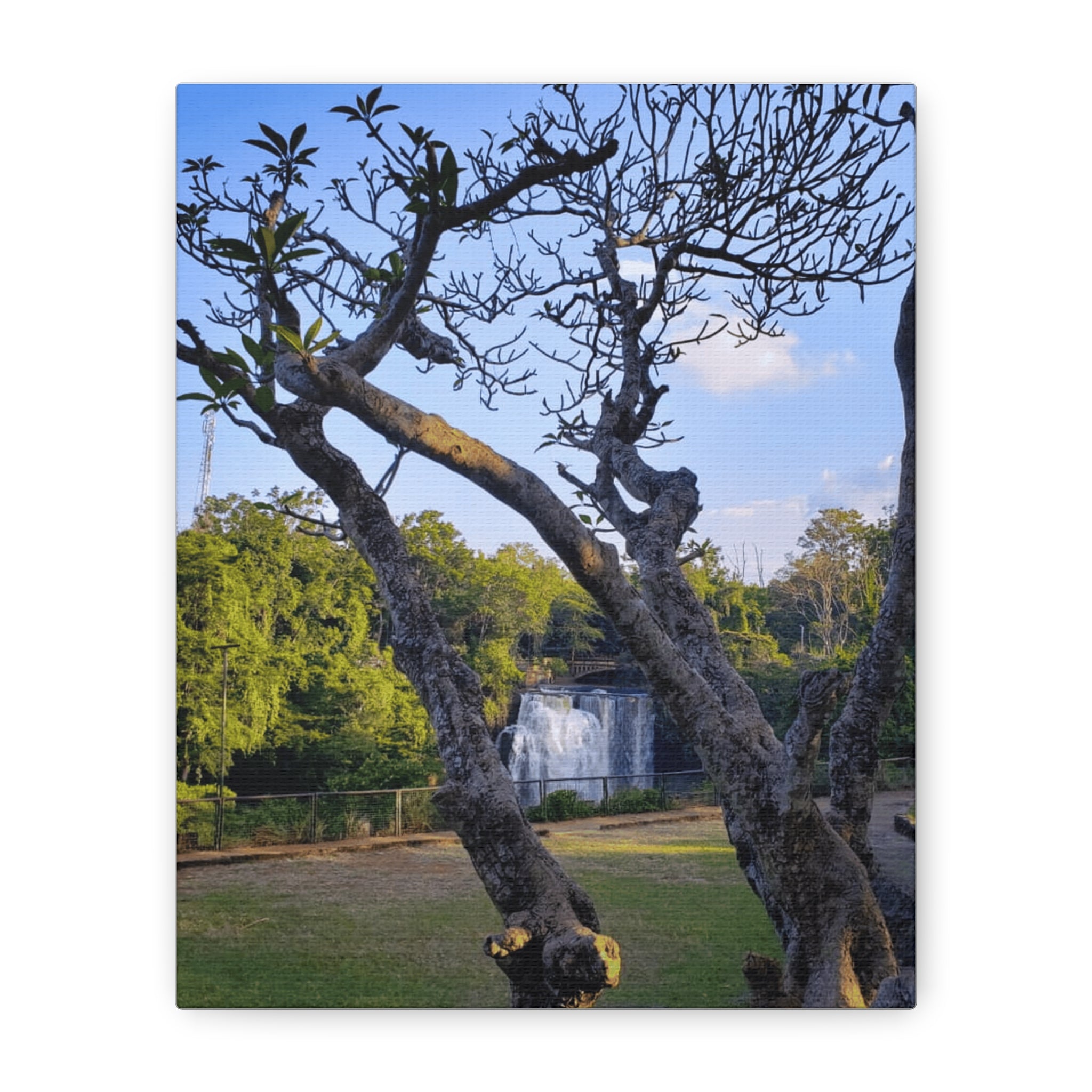 Waterfall Landscape Matte Canvas Print — Stretched 1.25"