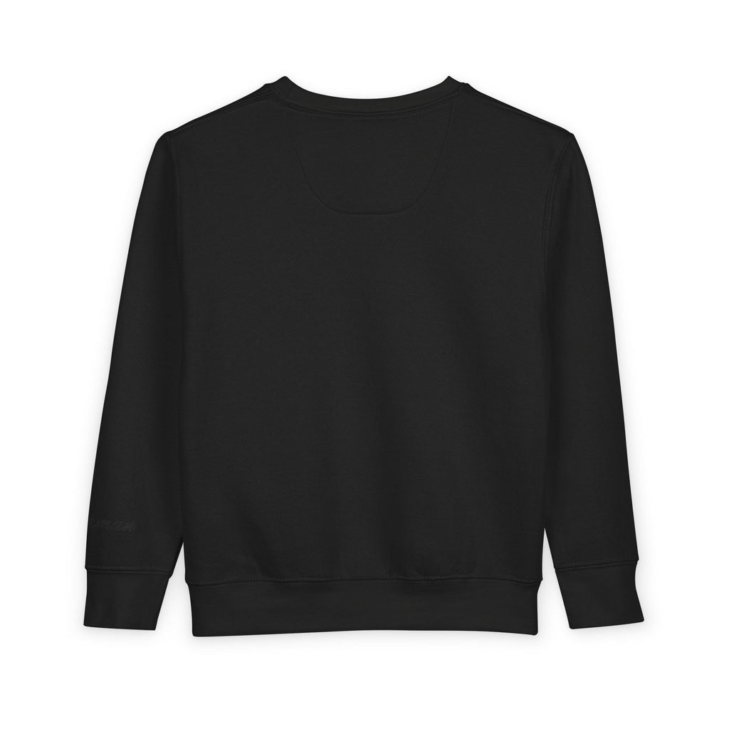 Toddler Sweatshirt — Superhero Web-Swinging Graphic Pullover