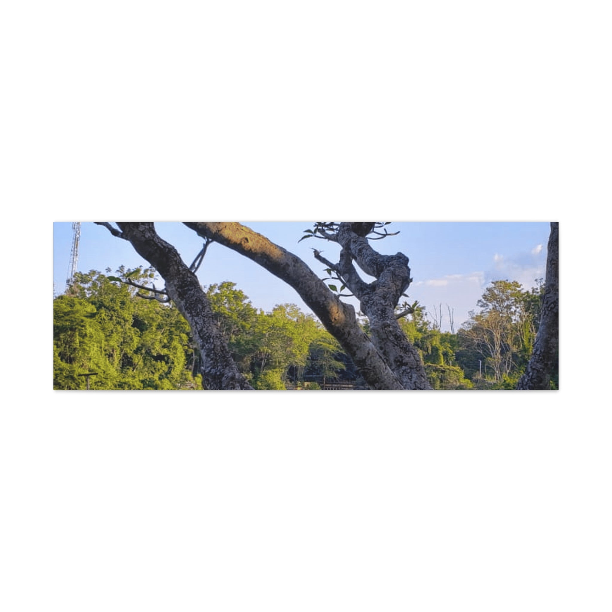 Waterfall Landscape Matte Canvas Print — Stretched 1.25"