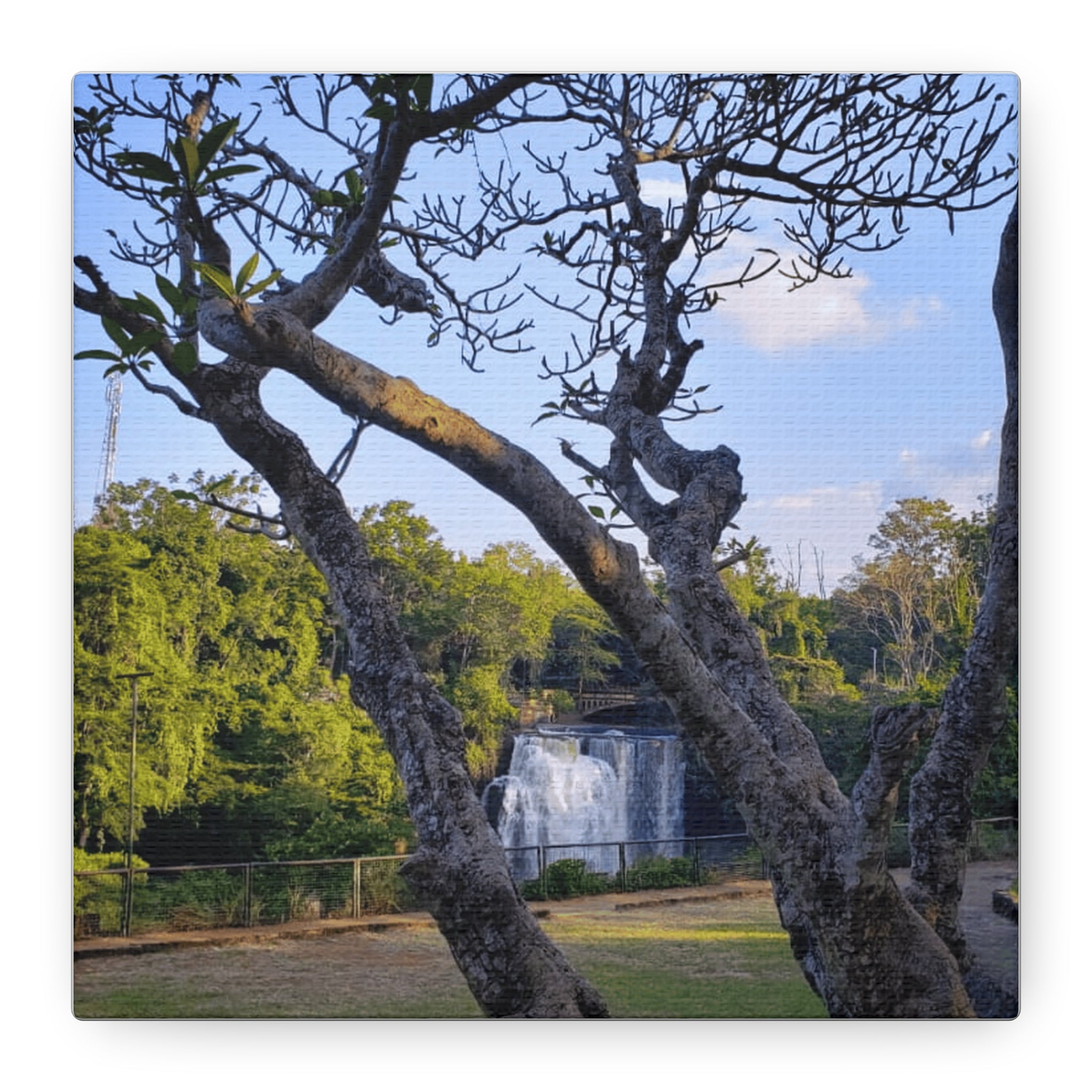 Waterfall Landscape Matte Canvas Print — Stretched 1.25"