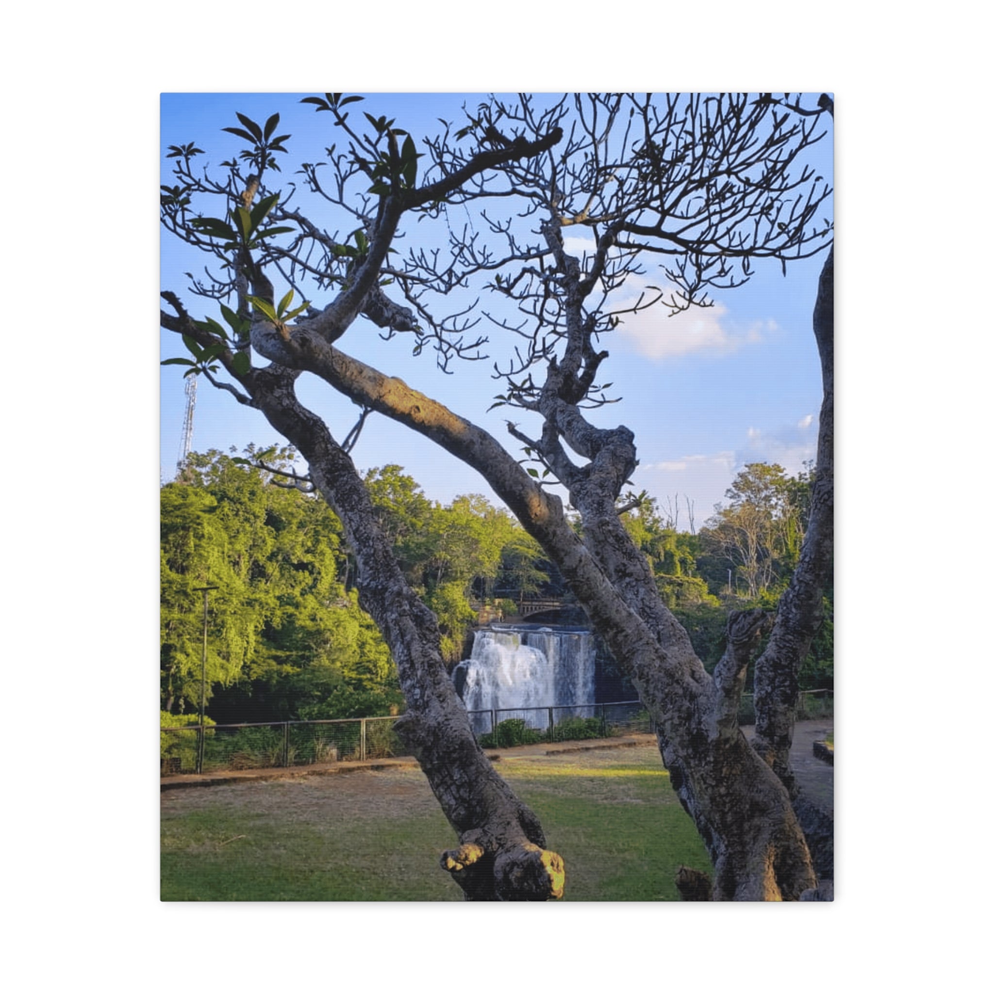 Waterfall Landscape Matte Canvas Print — Stretched 1.25"