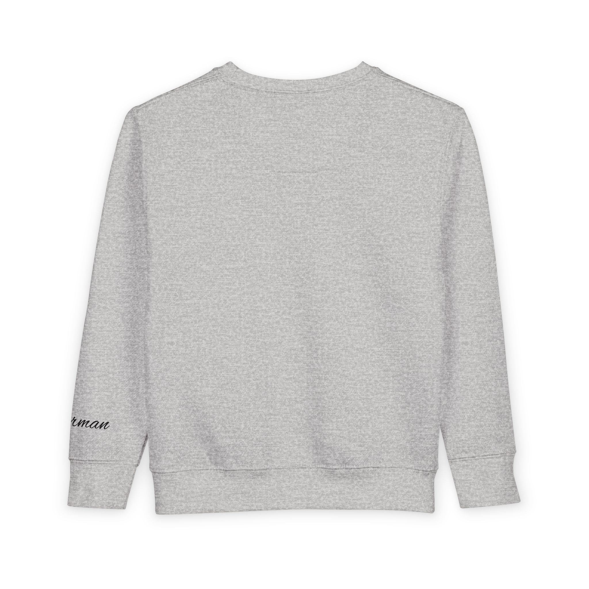 Toddler Sweatshirt — Superhero Web-Swinging Graphic Pullover