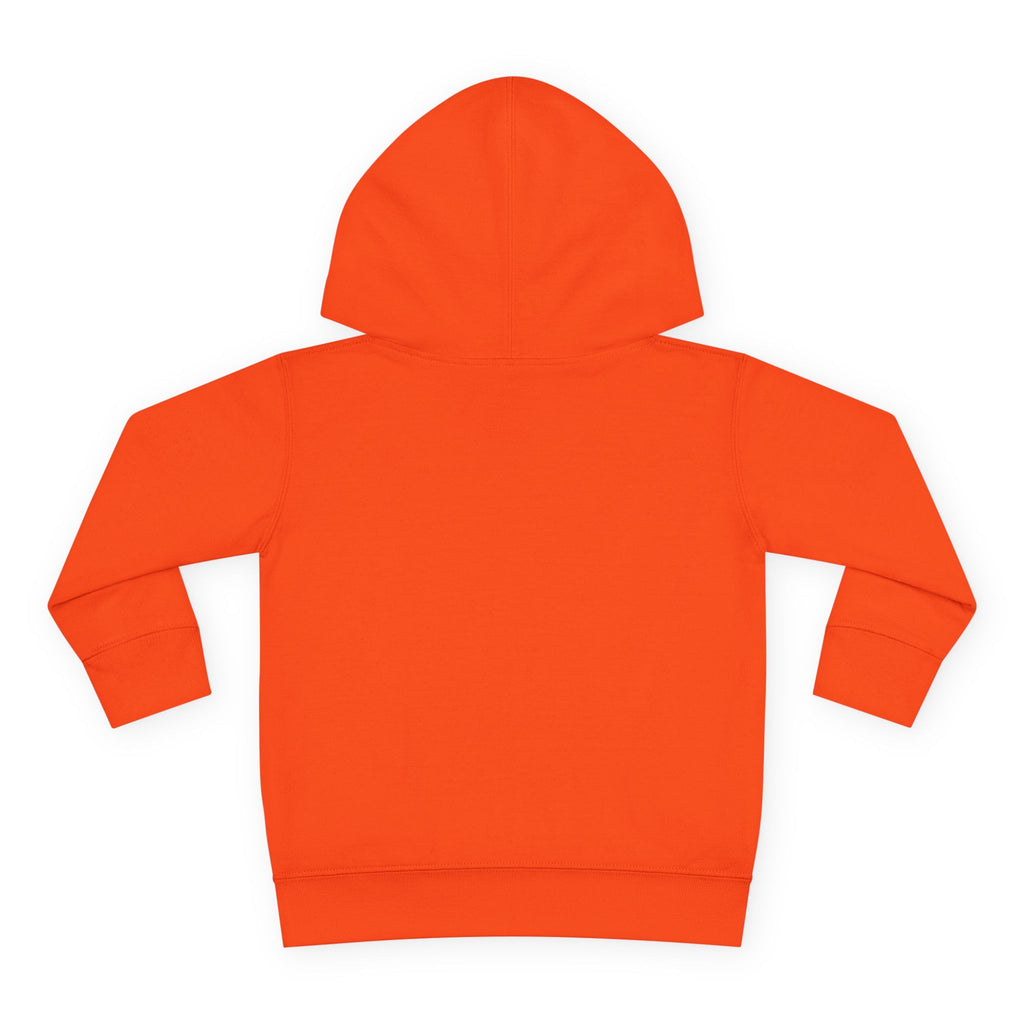 Toddler Snowflake Hoodie – Blue Winter Pullover for Kids