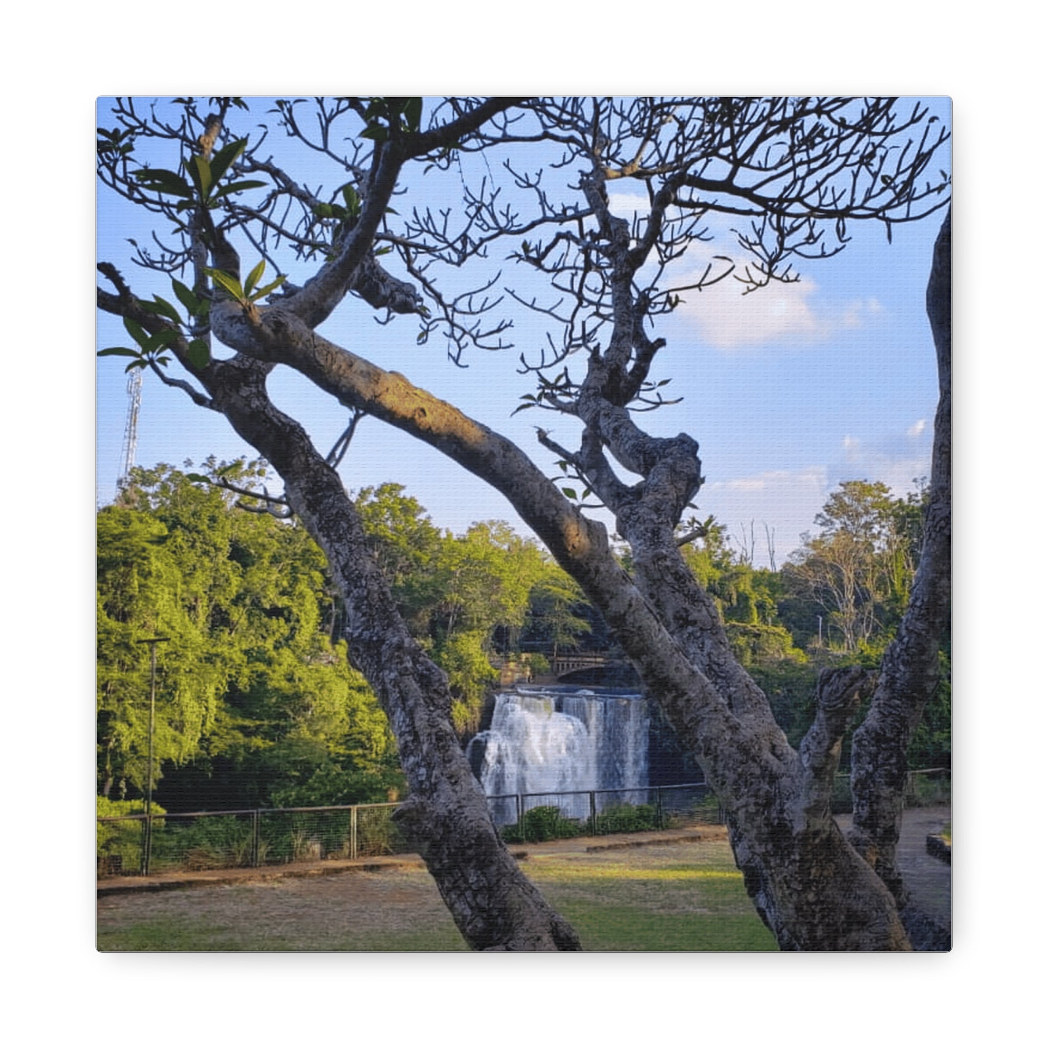 Waterfall Landscape Matte Canvas Print — Stretched 1.25"