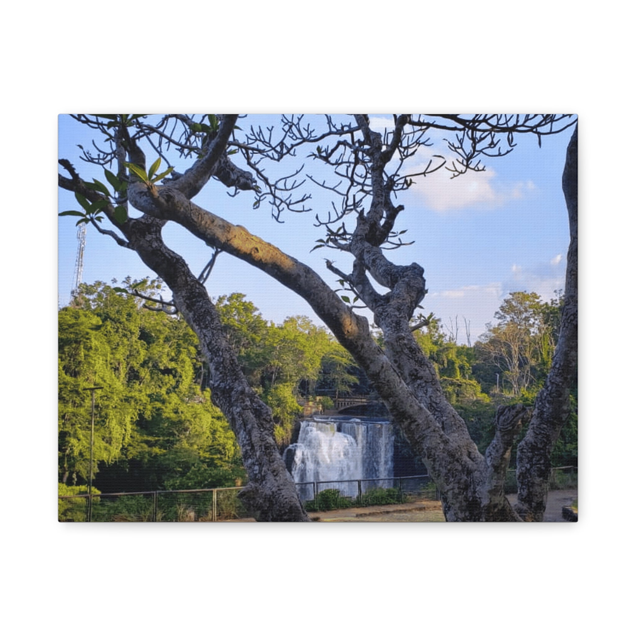 Waterfall Landscape Matte Canvas Print — Stretched 1.25"