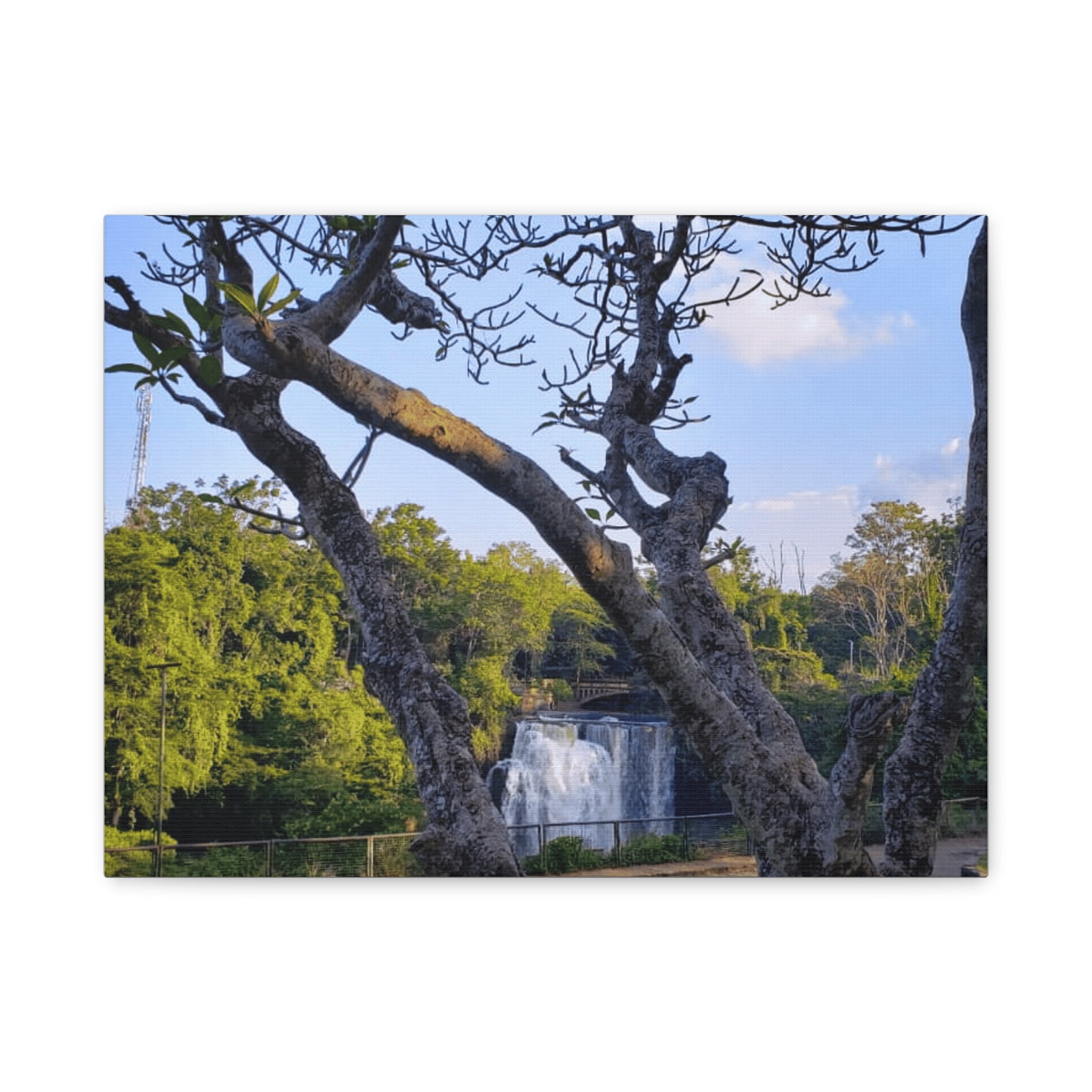 Waterfall Landscape Matte Canvas Print — Stretched 1.25"