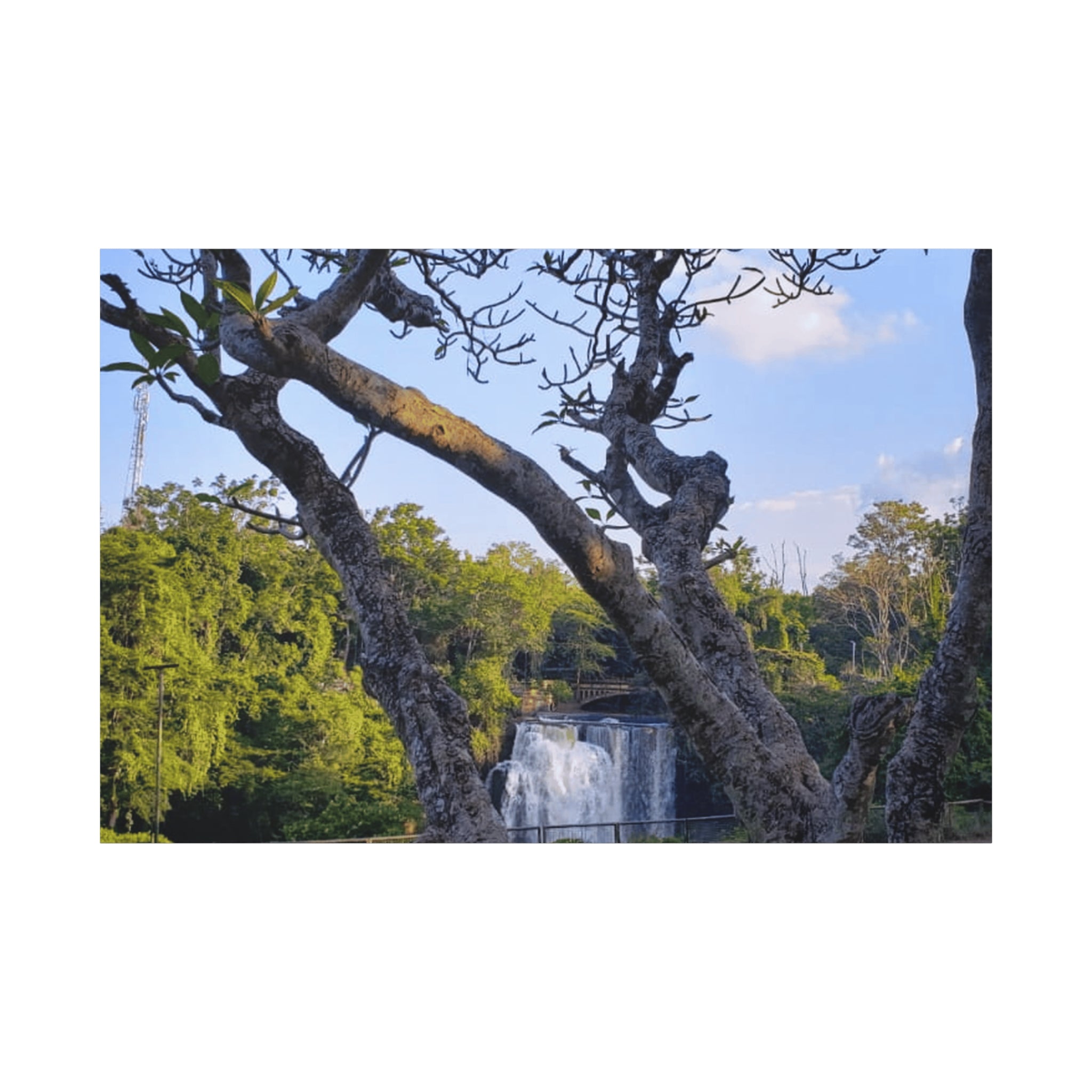 Waterfall Landscape Matte Canvas Print — Stretched 1.25"