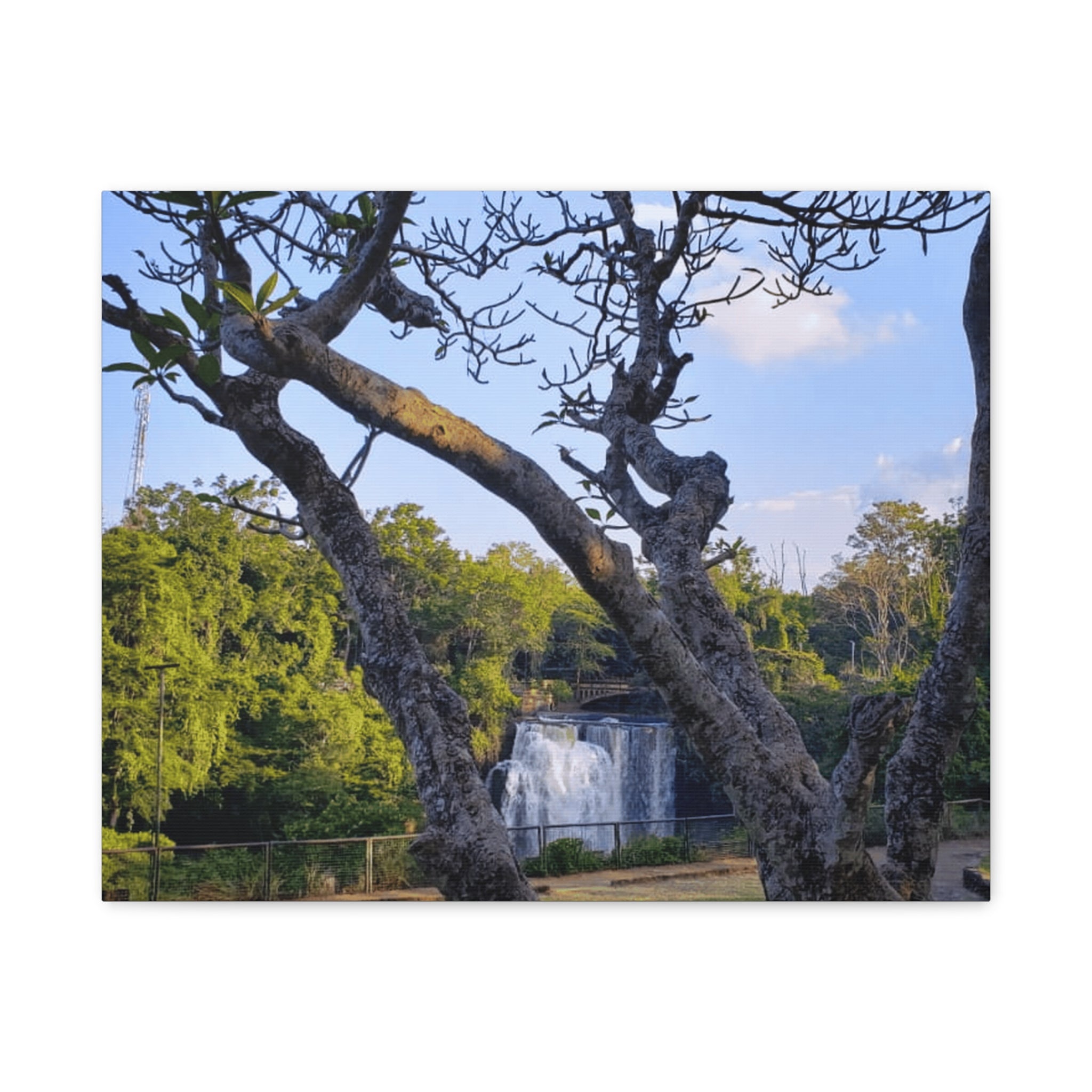 Waterfall Landscape Matte Canvas Print — Stretched 1.25"