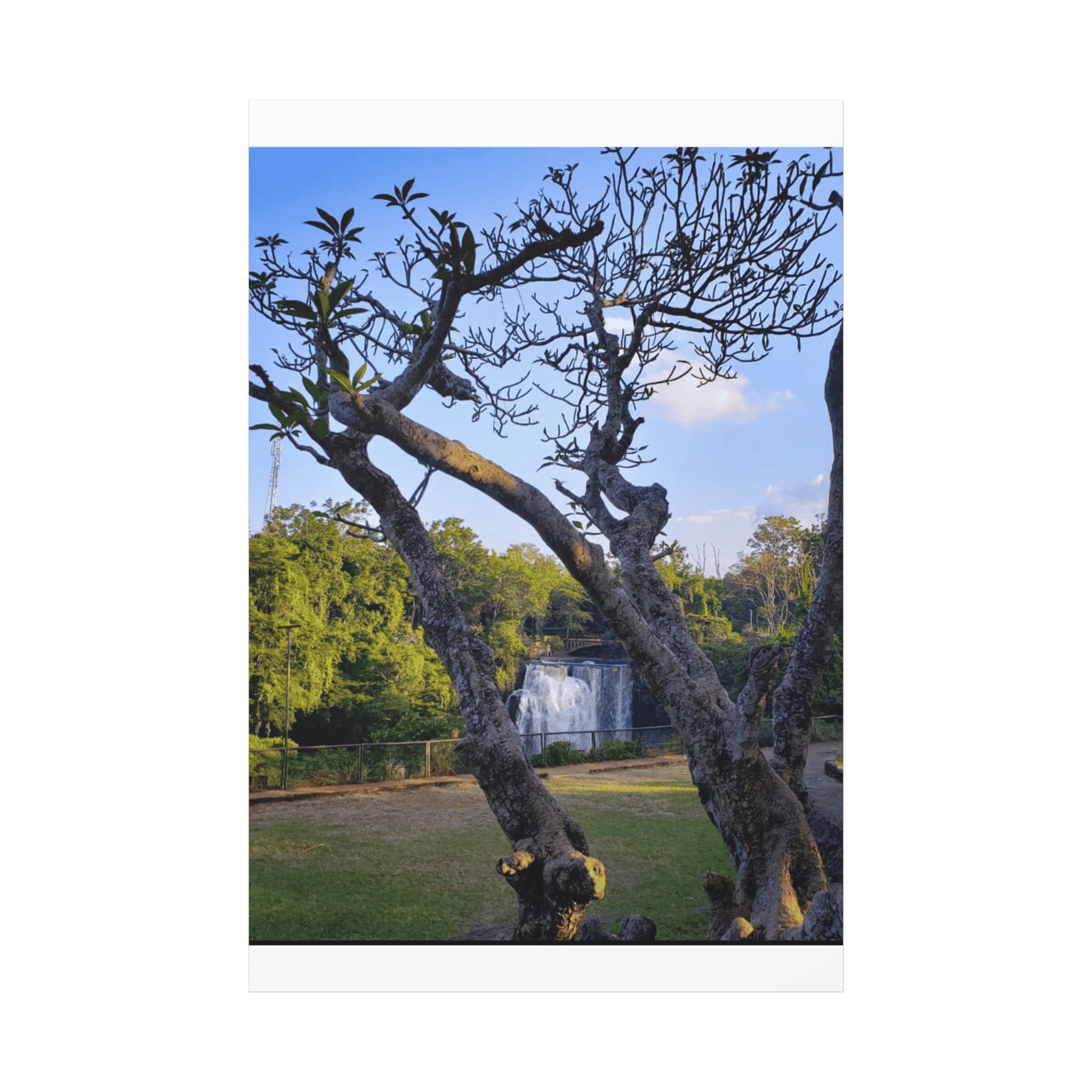 Waterfall Landscape Matte Canvas Print — Stretched 1.25"