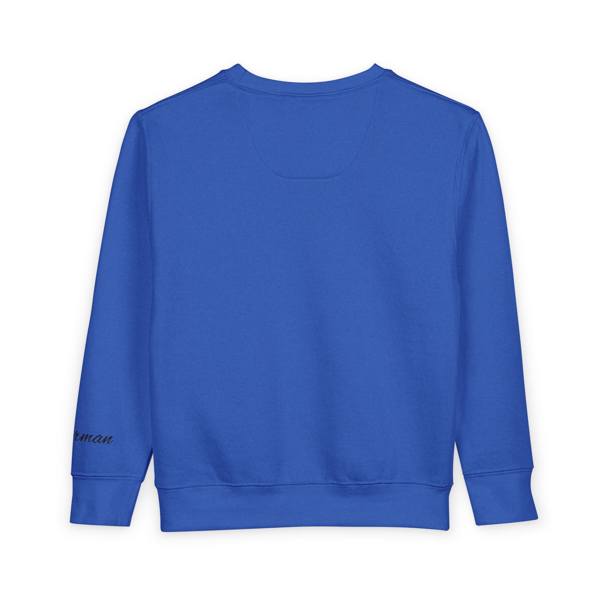 Toddler Sweatshirt — Superhero Web-Swinging Graphic Pullover