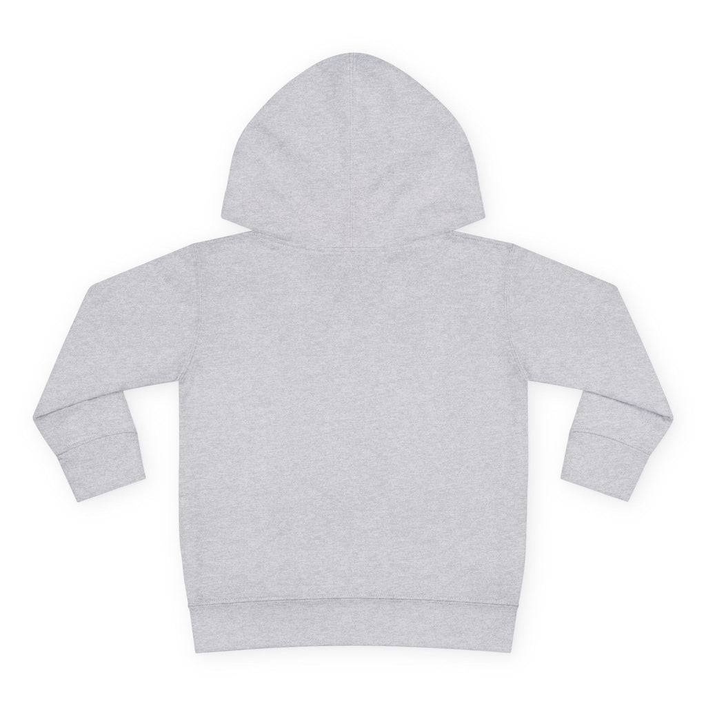 Toddler Snowflake Hoodie – Blue Winter Pullover for Kids
