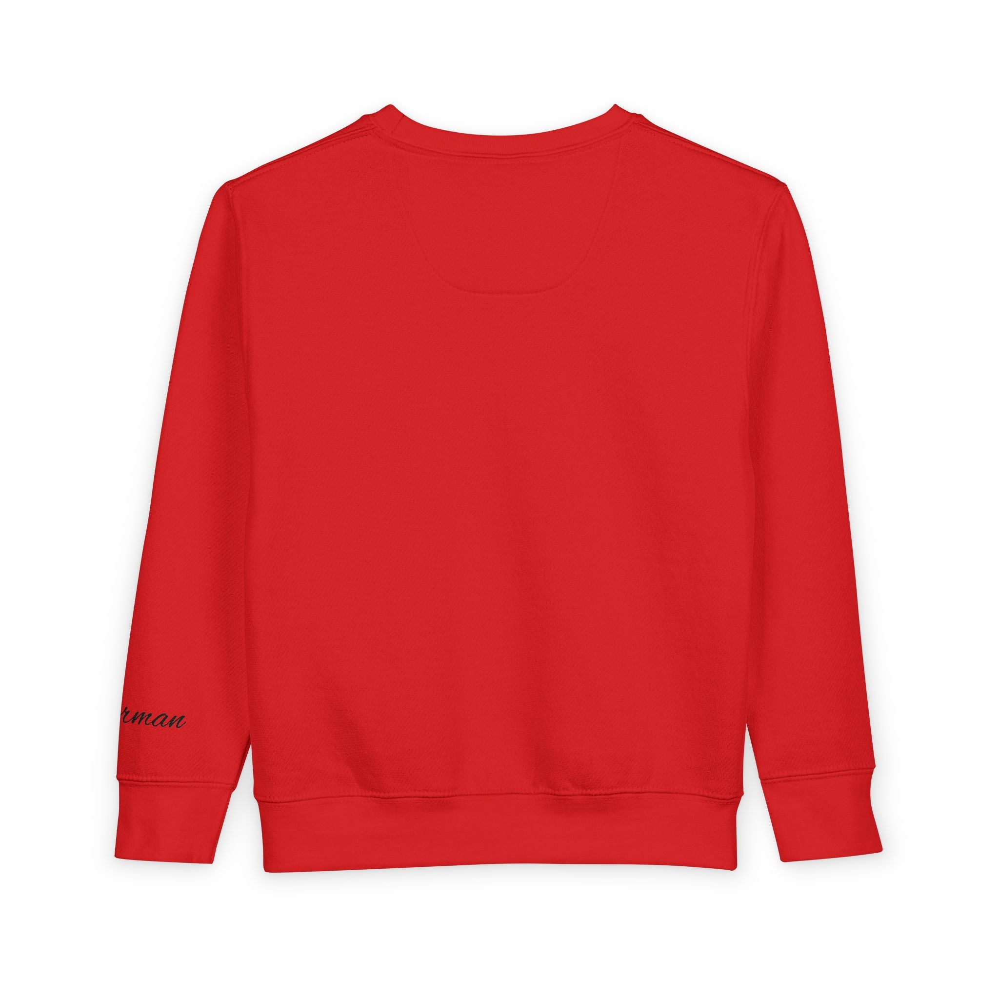 Toddler Sweatshirt — Superhero Web-Swinging Graphic Pullover