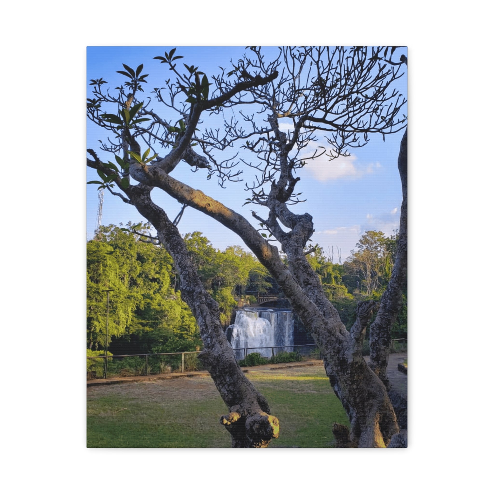 Waterfall Landscape Matte Canvas Print — Stretched 1.25"