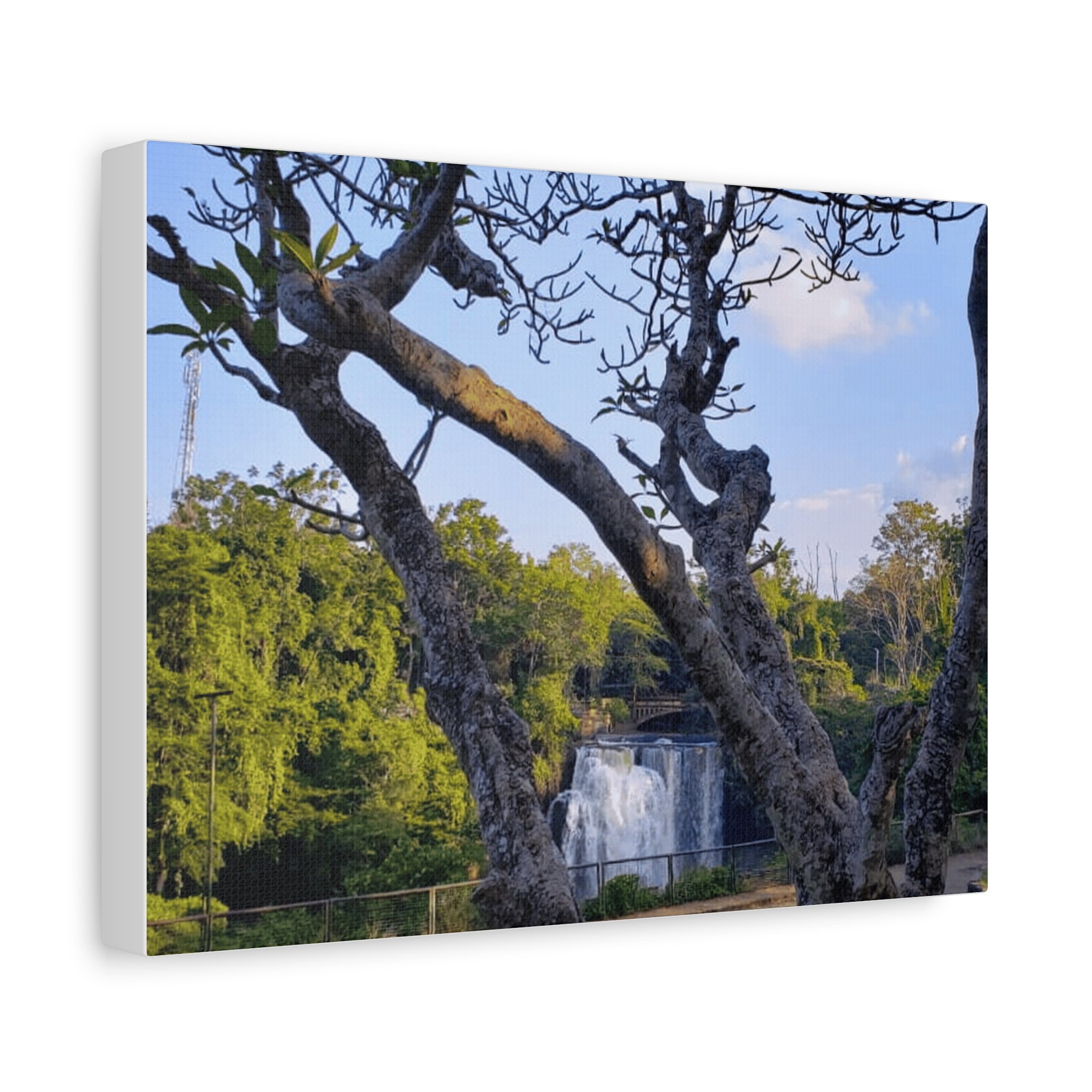 Waterfall Landscape Matte Canvas Print — Stretched 1.25"