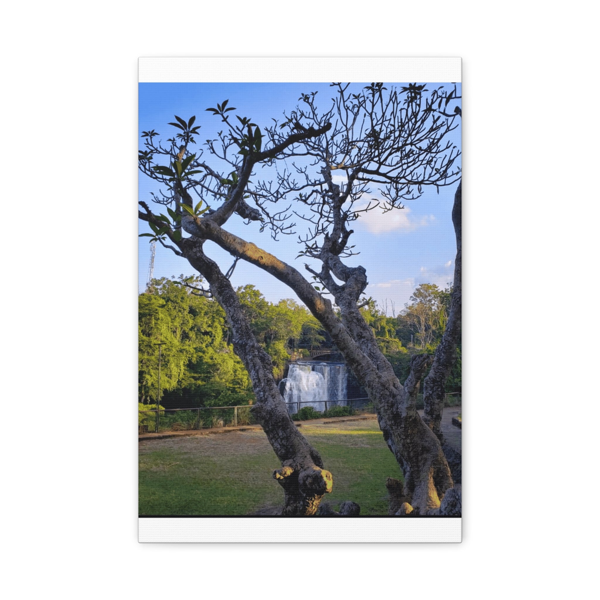 Waterfall Landscape Matte Canvas Print — Stretched 1.25"