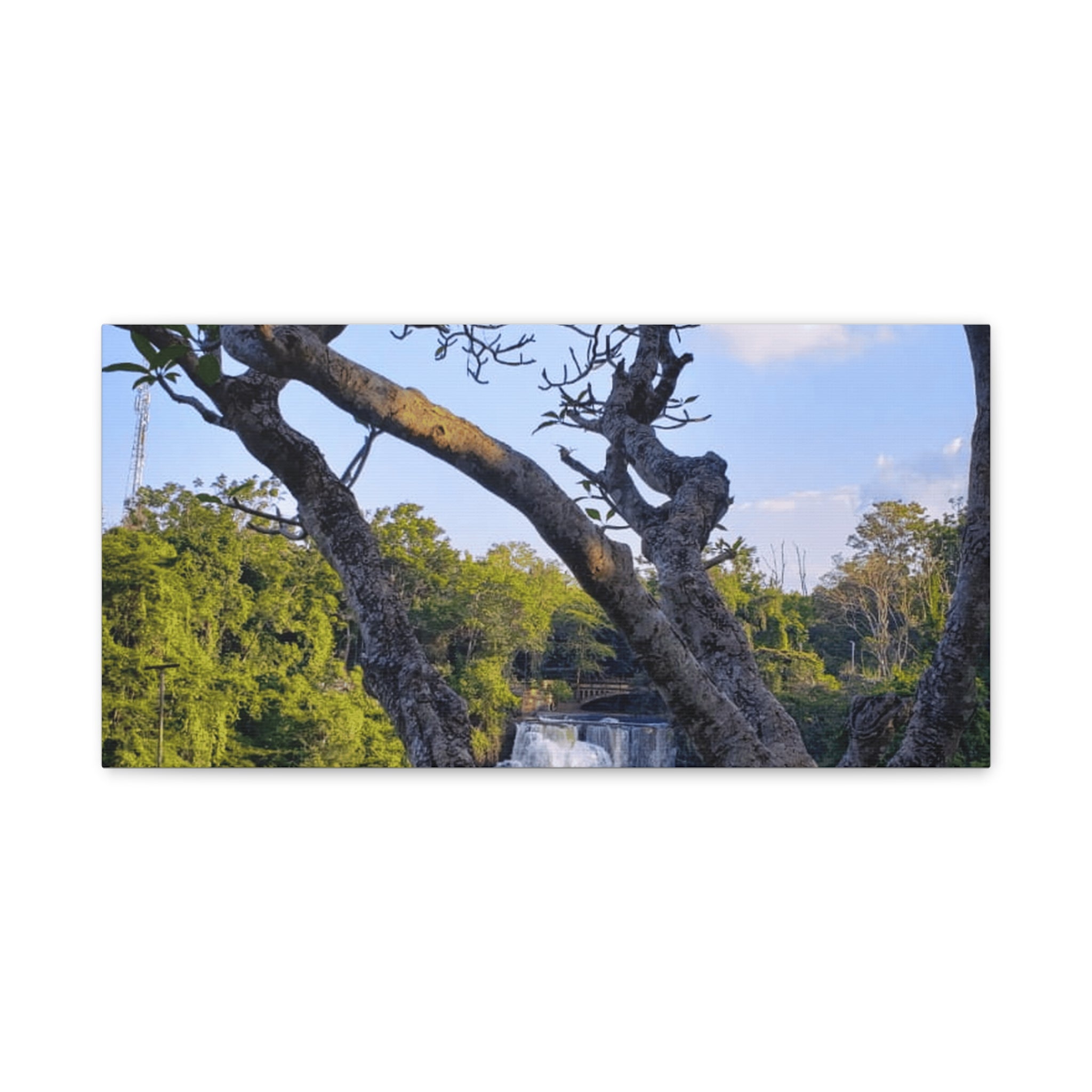 Waterfall Landscape Matte Canvas Print — Stretched 1.25"