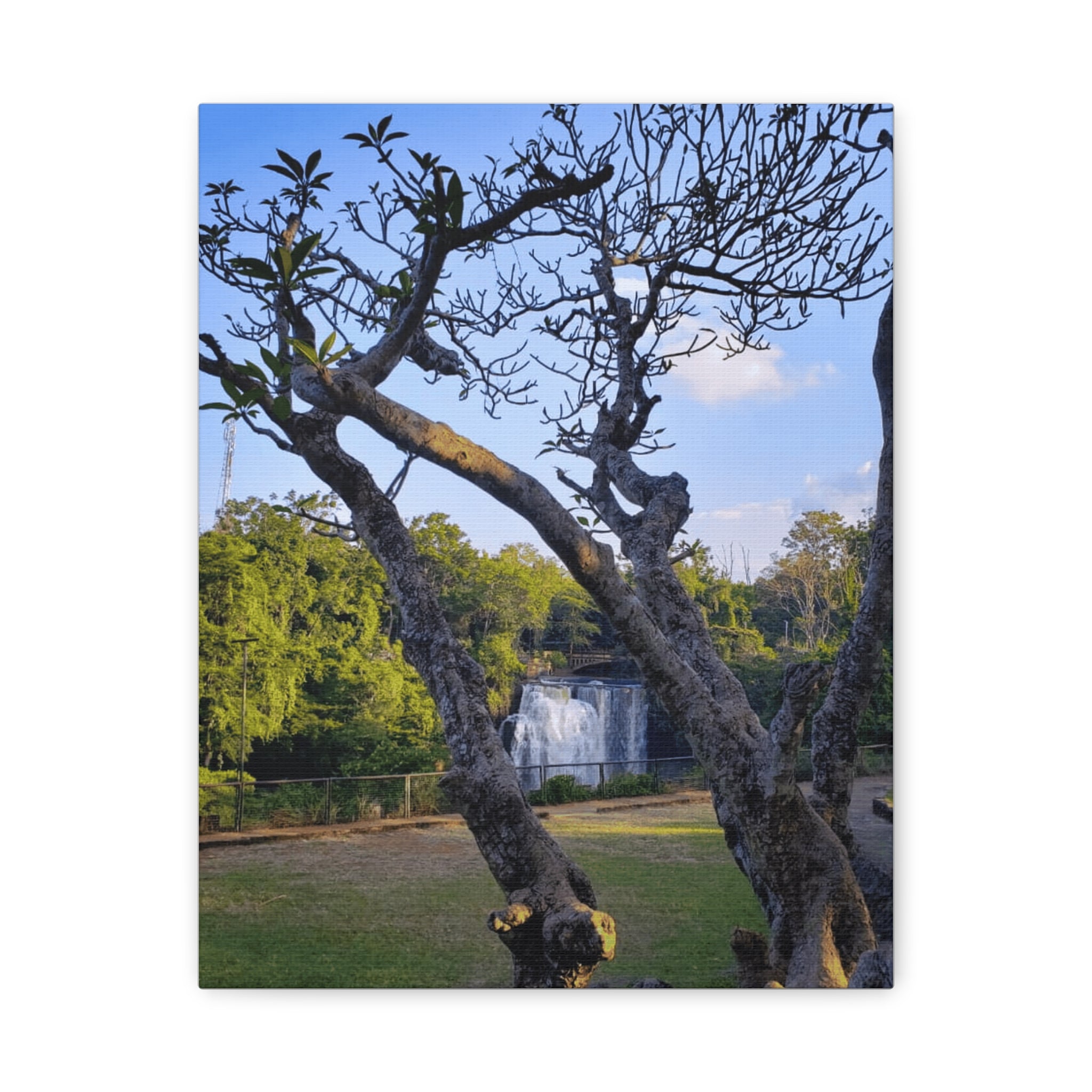 Waterfall Landscape Matte Canvas Print — Stretched 1.25"
