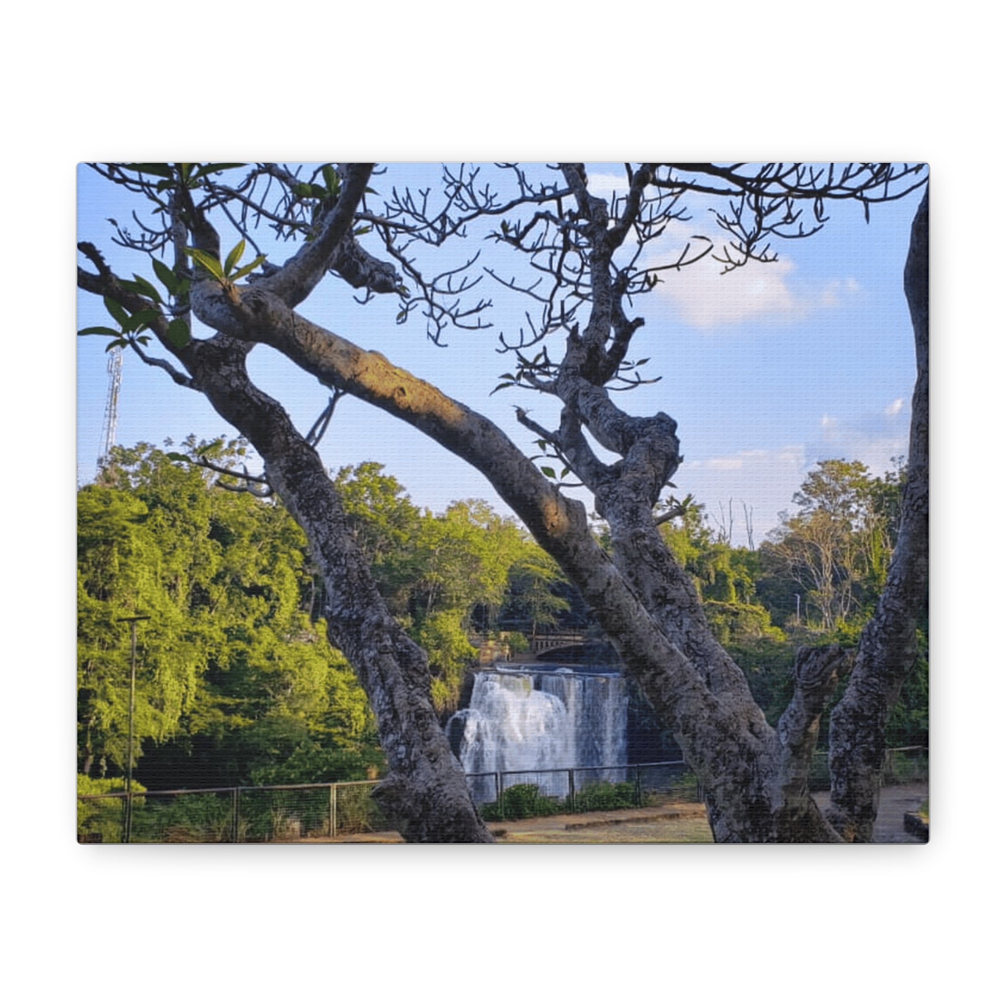 Waterfall Landscape Matte Canvas Print — Stretched 1.25"