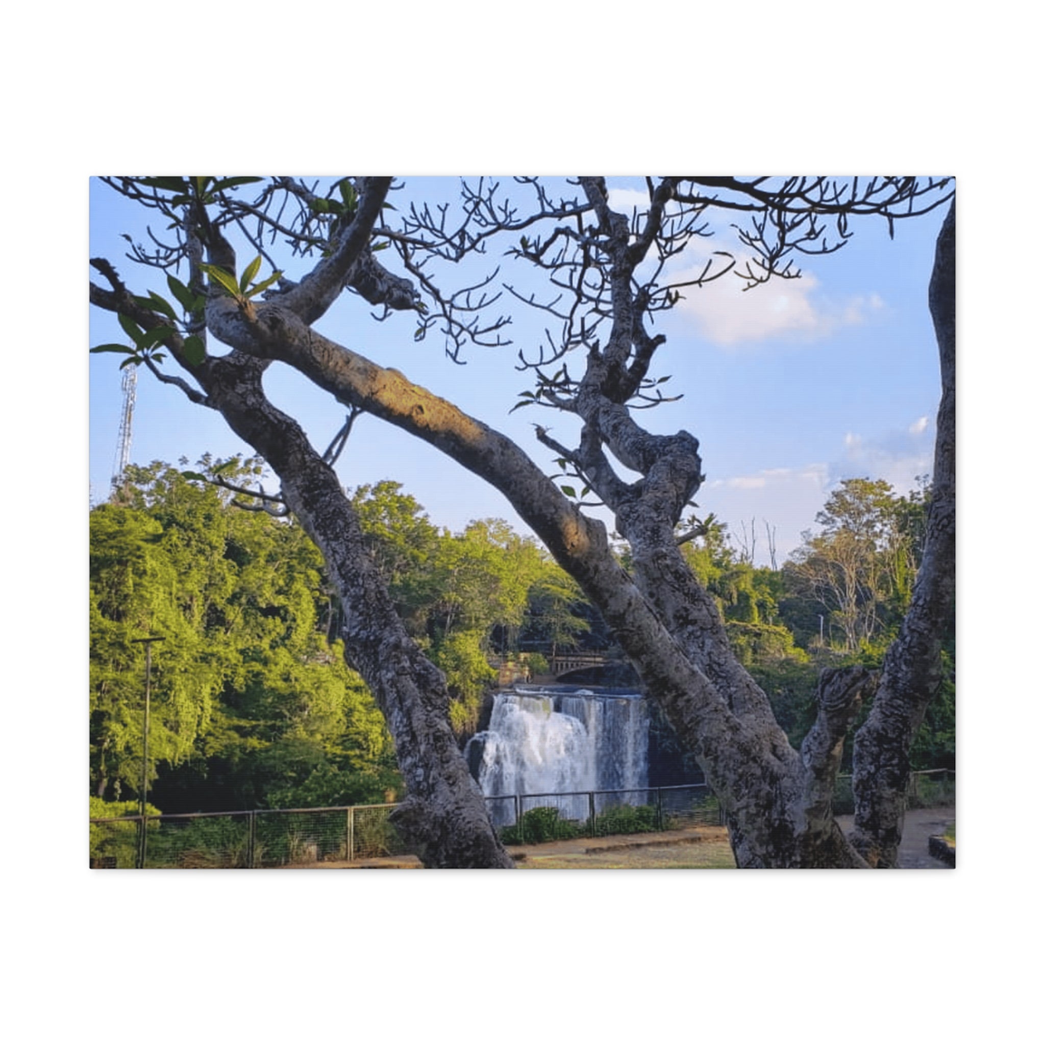 Waterfall Landscape Matte Canvas Print — Stretched 1.25"