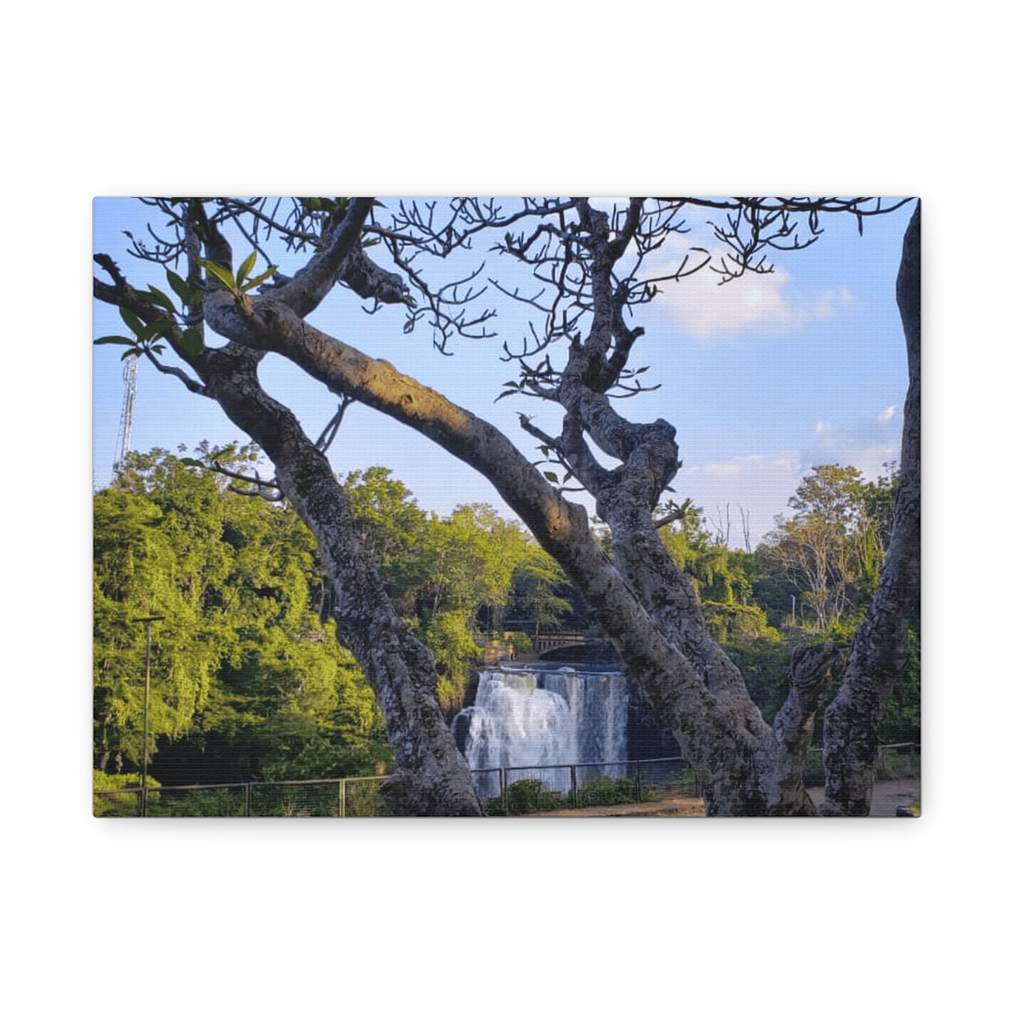 Waterfall Landscape Matte Canvas Print — Stretched 1.25"